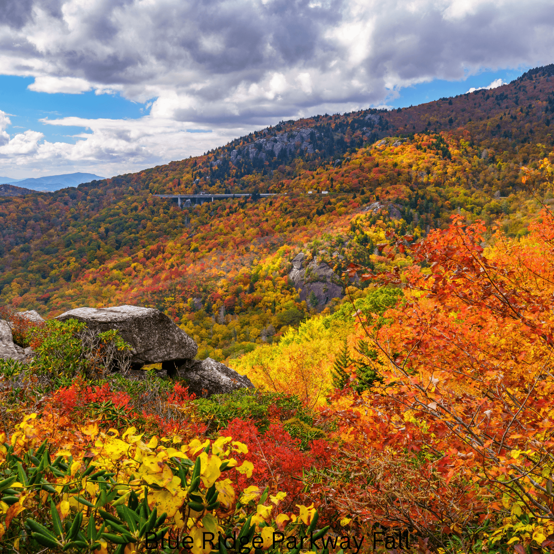 Fall Foliage Tour - Departing From Brevard